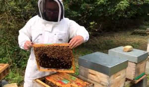 Apiculteur à wagon cappel la ruche