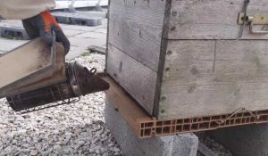 Dunkerque : un médecin urgentiste installe des ruches sur le toit de l'hôpital