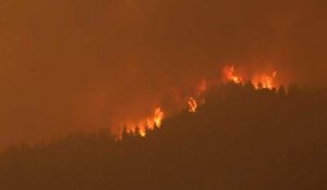 Grèce: l'île grecque d'Eubée toujours en proie aux flammes