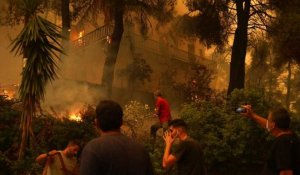 L'île grecque d'Eubée en flammes, 56 000 hectares brûlés en Grèce en dix jours