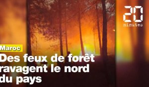 Maroc: Des feux de forêt ravagent le nord du pays 