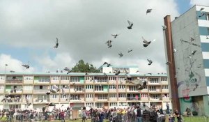 Des milliers de pigeons s'envolent pour le film "Les Pires" à Boulogne