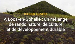 Du noir au vert à Loos-en-Gohelle : un mélange de rando nature, de culture et de développement durable