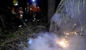 Bolivie: des réserves écologiques dévastées par des incendies