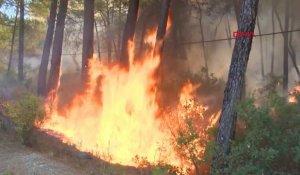 Turquie: violents incendies sur la côte sud touristique
