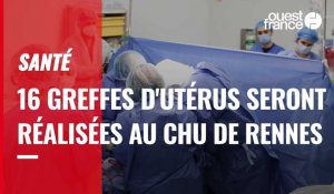 VIDÉO. 16 greffes d'utérus seront réalisées au CHU de Rennes