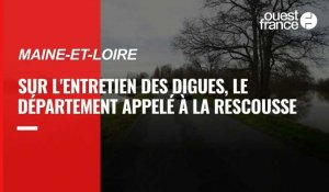 VIDÉO. Sur l'entretien des digues de la Loire, le Département appelé à la rescouse