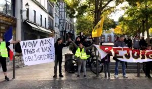 300 anti-pass dans les rues de Troyes ce samedi : on a suivi leur parcours