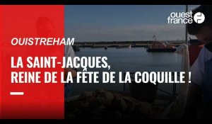 VIDÉO. La saint-jacques, reine de la Fête de la coquille à Ouistreham