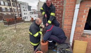 Lille : les pompiers tentent de sauver un chat bloqué dans un conduit de cheminée