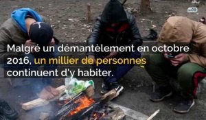 Migrants de Calais : l'ONG Human Rights Watch (HRW) dénonce les pratiques de la police