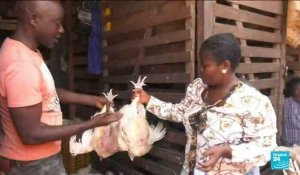 Covid-19 : les prix de poulet, du riz et de l'huile flambent au Cameroun