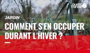 VIDÉO. En hiver, comment prendre soin de son jardin ?