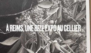 Expo au Cellier à Reims