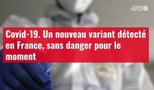 VIDÉO. Covid-19 : un nouveau variant détecté en France, sans danger pour le moment