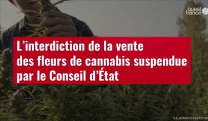 VIDÉO. L’interdiction de la vente des fleurs de cannabis suspendue par le Conseil d’État