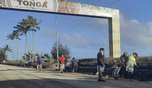 L'éruption du volcan aux îles Tonga : des conséquences désastreuses pour le secteur agricole