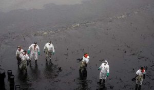 Le Pérou déclare l'urgence environnementale pour atténuer les conséquences de marée noire