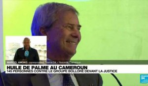 Cameroun : le groupe Bolloré accusé de non respect des droits environnementaux dans ses plantations d'huile de palme
