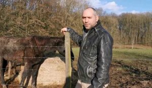 L'association de sauvetage de chevaux, Equi-Vimeu à Elincourt cherche des bénévoles