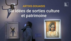 Six idées de sorties culture et patrimoine dans l'Artois-Douaisis en janvier 