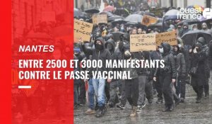 VIDEO. Contre le passe vaccinal, entre 2500 et 3000 personnes manifestent à Nantes