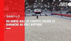 VIDÉO. Du horse-ball de compétition au Pôle hippique de Saint-Lô