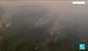 Brésil : l'Amazonie a subi en août ses pires incendies depuis 2010