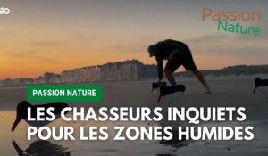 Passion Nature : Les chasseurs inquiets pour les zones humides