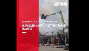 VIDÉO. Incendie près du Mans : le magasin Animalis entièrement détruit par les flammes