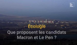 Ecologie : que proposent les candidats Macron et Le Pen ?