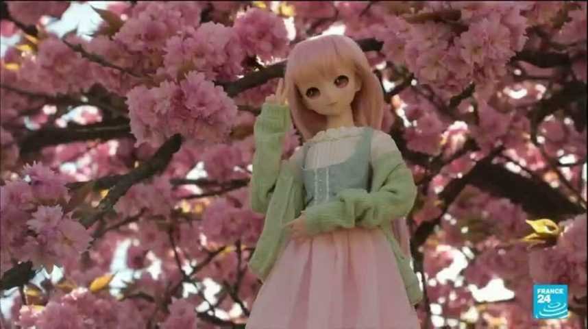 Où et quand voir les cerisiers en fleurs au Japon ? - Le Mag