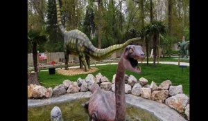 Coudekerque-Branche: à la decouverte du Dino Parc.