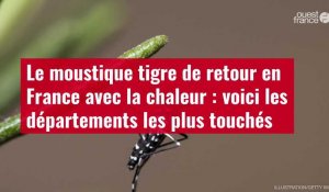VIDÉO. Le moustique tigre de retour en France avec la chaleur : voici les départements les plus touchés