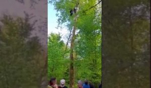 Ardennes: un parapentiste coincé dans un arbre à 20 m de haut