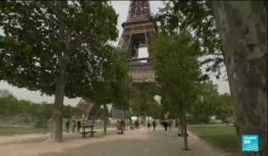 France : l'abattage prévu d'arbres au pied de la Tour Eiffel suscite la polémique