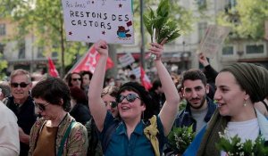 Tens of thousands protest in France on May Day following election