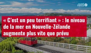 VIDÉO. « C’est un peu terrifiant » : le niveau de la mer en Nouvelle-Zélande augmente plus vite que prévu