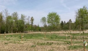 Le Bois des Sources espéré pour juin 2022 à Proville