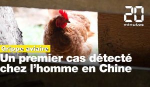 Grippe aviaire H3N8: Un premier cas détecté chez l'homme en Chine