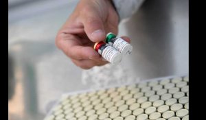 Saint-Amand-les-Eaux : le premier vaccin au monde contre le palu produit par GSK