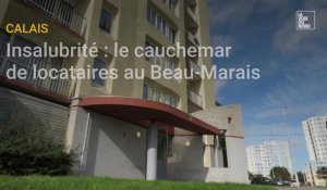 Rats, insalubrités, humidité… le quotidien de locataires d’une tour au Beau-Marais à Calais