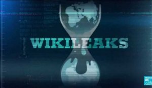 Julian Assange et WikiLeaks : la bataille autour de son extradition vers les États-Unis