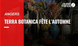 VIDÉO. Angers : Terra Botanica à l'heure de la fête de l'Automne