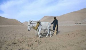 En Afghanistan, bergers et agriculteurs affamés par le changement climatique