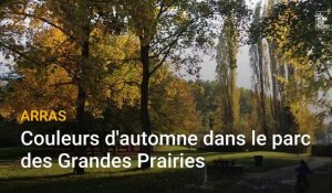 Arras : couleurs d'automne dans le parc des Grandes Prairies, le 28 octobre