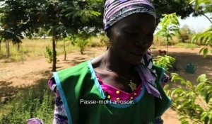 Cameroun : les réfugiés nigérians de Minawao luttent contre la désertification