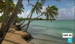 COP26 : Martinique, Tahiti...quand les plages disparaissent