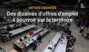 Artois-Douaisis: des dizaines d'offres d'emploi à pourvoir
