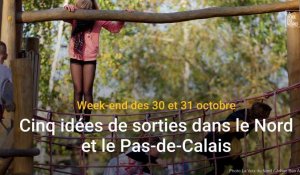 Cinq idées de sorties dans le Nord et le Pas-de-Calais les 30 et 31 octobre